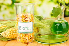 Dinorwig biofuel availability