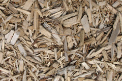 biomass boilers Dinorwig